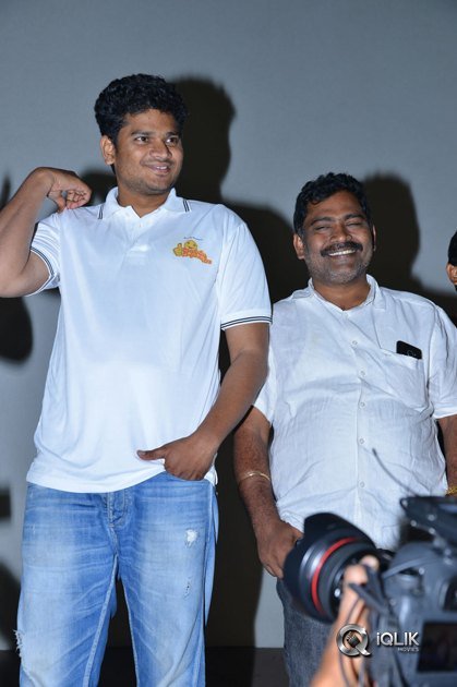 Jayammu-Nischayammu-Raa-Movie-Team-At-Satyam-Theatre